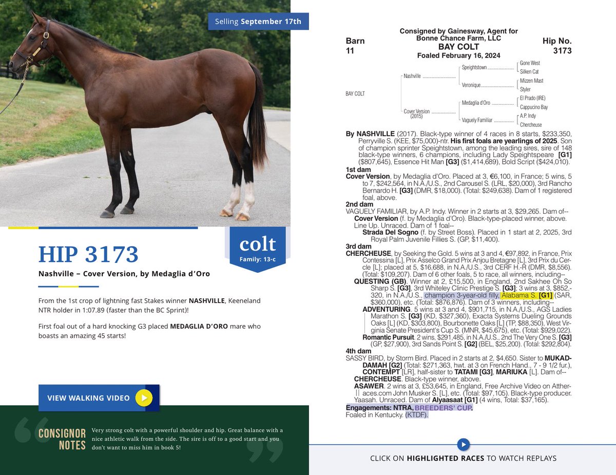 ✨Book 5A Highlight✨ Showing today at the <a href="/Gainesway/">Gainesway</a> consignment in Barn 11, Hip 3173 a colt by ⚡️lightning fast stakes winner NASHVILLE and the first foal of a G3 placed, 45 start track warrior Cover Version (Medaglia d’Oro) from the family of Champion 3yo &amp; G1 winner QUESTING!