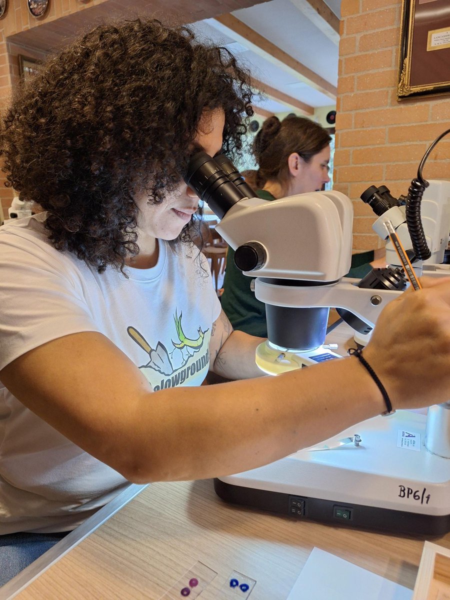ExFuMo1's tweet photo. The second day of the #GoBelowground! The course on #plant #belowground #functional #morphology was about the fine #roots and #anatomy of #storage #organs. We are grateful to @Akademie_ved_CR
for the support, and to all participants for their enthusiasm! #ExFuMo 🌱🌴🌷 https://t.co/8hnNehEGm6