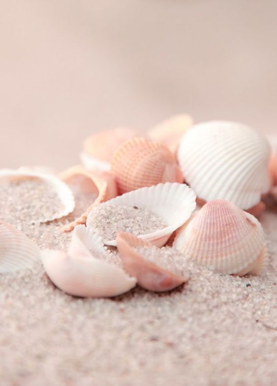 하정 (@haesejung) on Twitter photo 