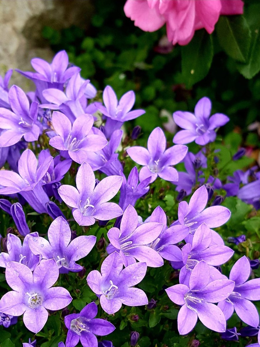 Maria Lea tweet media