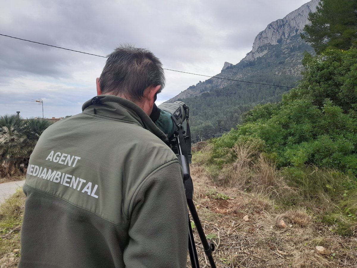 Feliz día.

Los Agentes Medioambientales🙋🏻‍♂️👮🏻‍♂️🤦🏻‍♂️🚔 trabajamos para que nuestro medio natural perdure y podamos disfrutar el día de mañana.