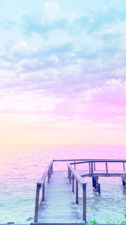 불타는 해바라기 (@haebaraagi) on Twitter photo 