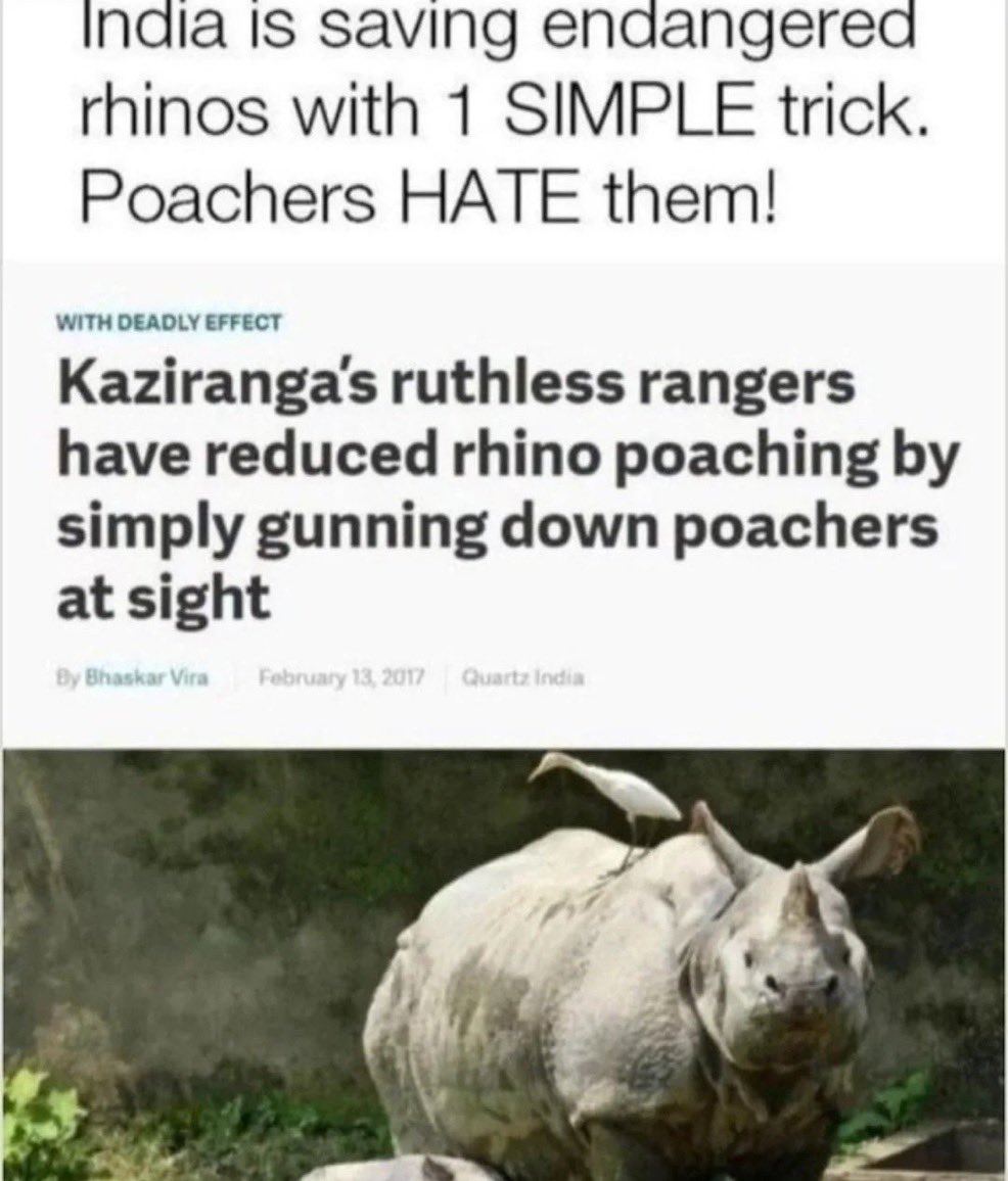 How to save a Rhino! Forest Rangers got a trick up their sleeve.