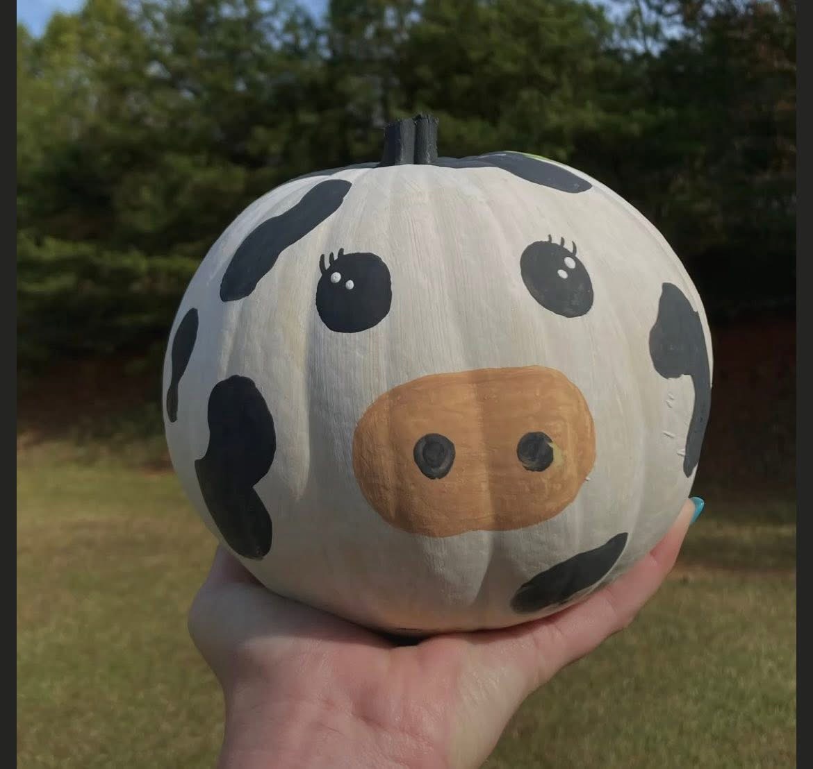 Xsmom15's tweet image. Yo, spotted this SICK cow on FB, totally VIBING to create a @veefriends pumpkin patch with OUR pumpkins! 🎃 Guess who’s getting painted FIRST?! Drop YOUR fave character below for a shoutout! Let’s GO VIRAL! 🚀 #PumpkinVibes