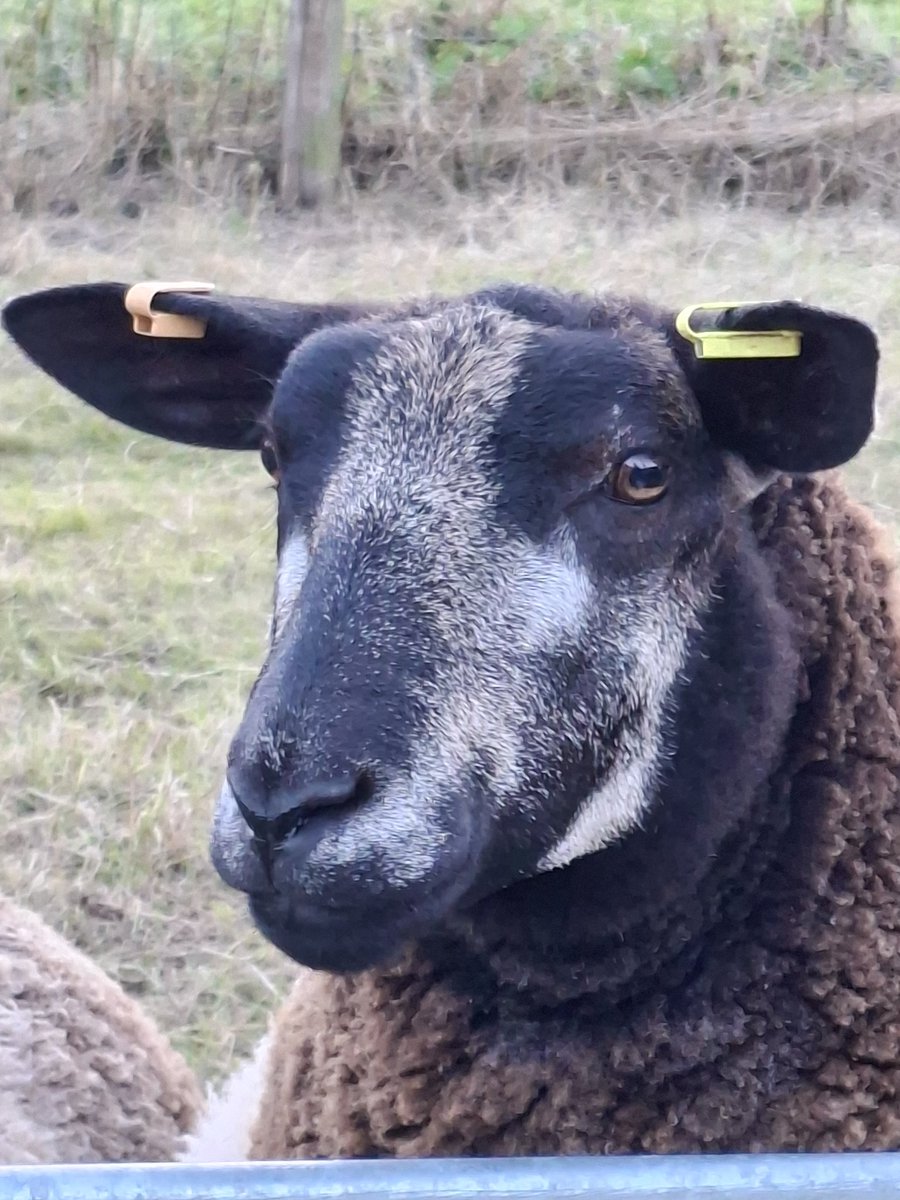 You are a bit special, Diamond #HerdelBlues