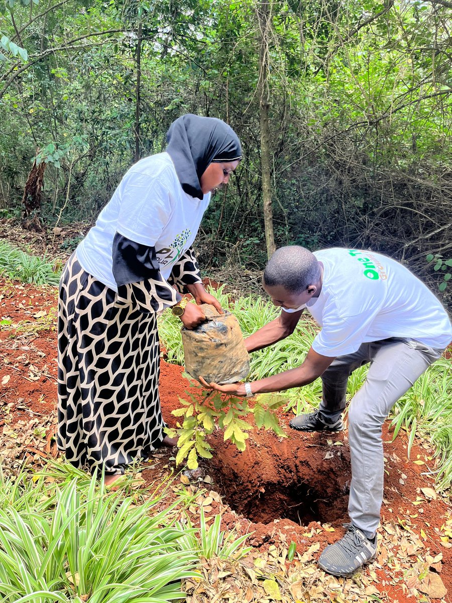 InitiativeTana's tweet photo. On Sunday, we joined @greenafricaorg for Plant Your Age Day under the theme “One Tree, Growing Minds.” Each tree planted symbolizes growth, hope &amp; our shared duty for a greener future. @Africa_WaterAmb
@GreenfaithKE #ClimateAction #Sustainability #OneTreeGrowingMinds https://t.co/ZAq2Z4Qtxk