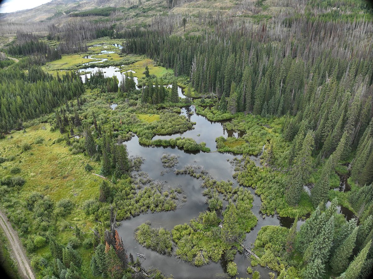What happens when the Board audits one of BC’s largest grazing tenures? 
Here's what we found - ow.ly/BEqH50WWyGc