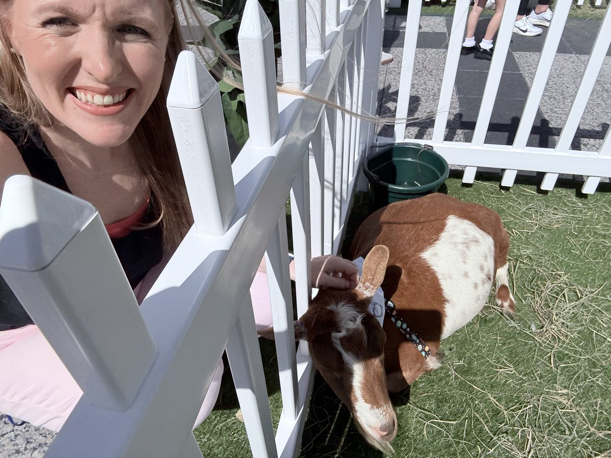 Caitlin Stone @caitlingstone.bsky.social tweet media