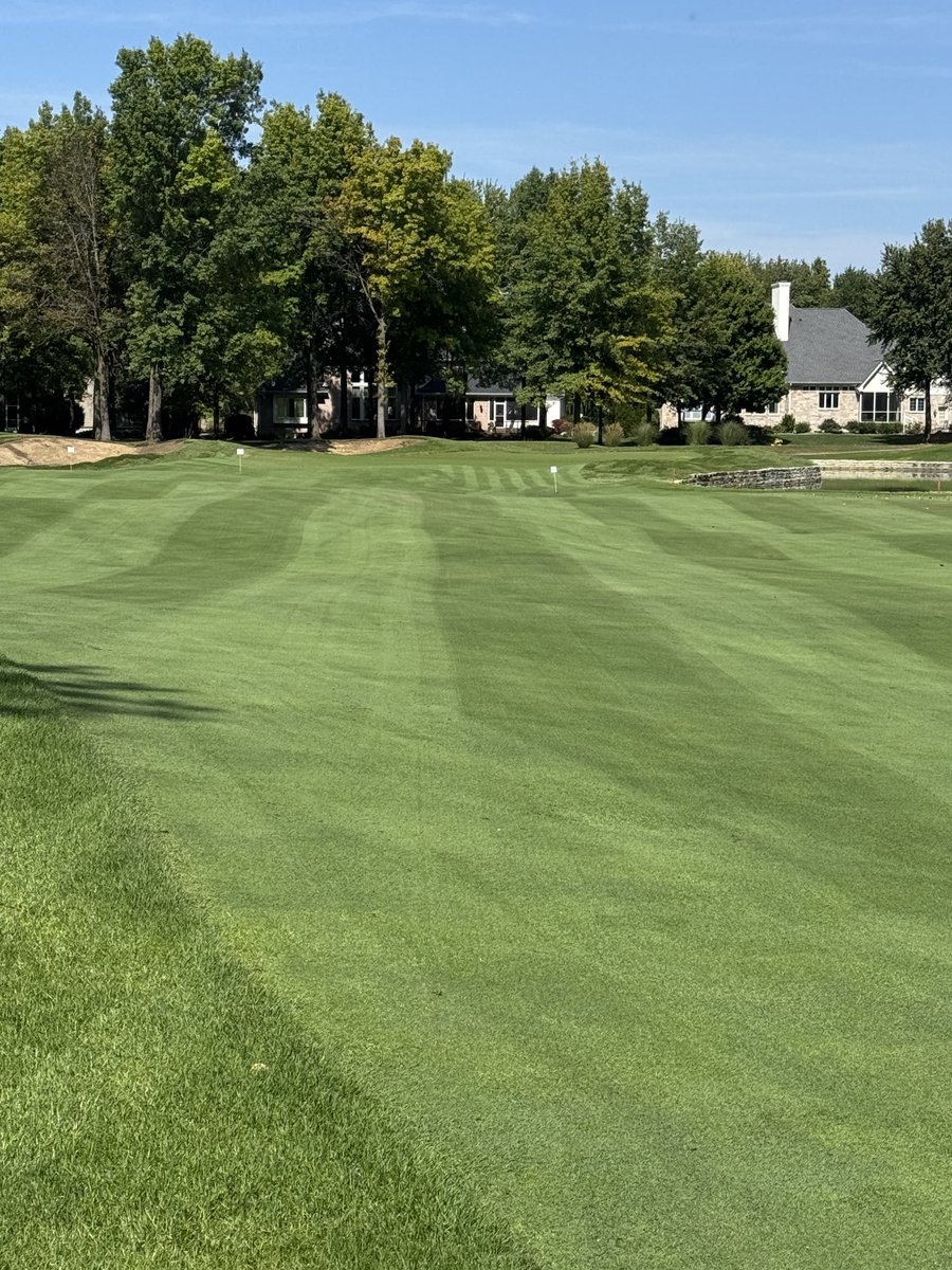 Bridgewater Grounds tweet media