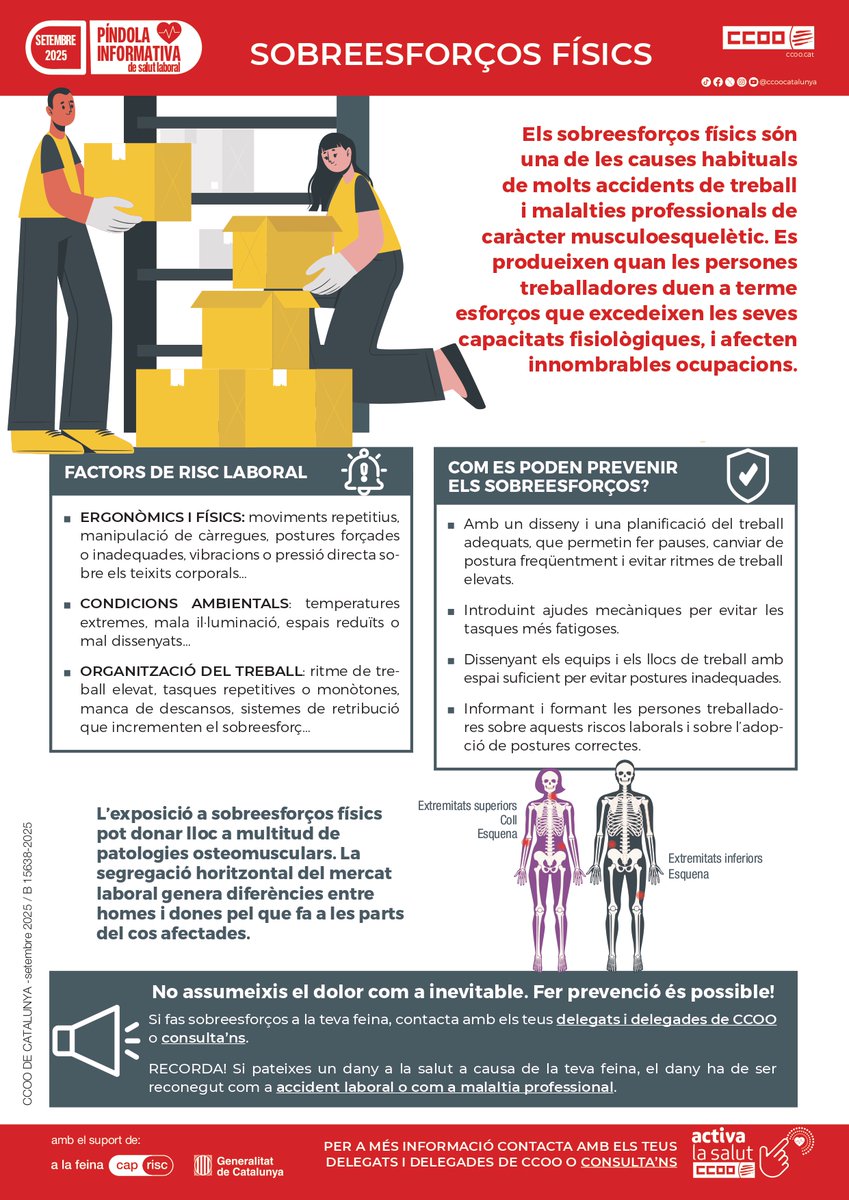 🆕 Ja teniu disponible la 💊 informativa de setembre: #sobreesforços físics. 

 🔗 ccoo.cat/noticies/salut…

#PrevenirÉsPossible 
#ActivaLaSalut