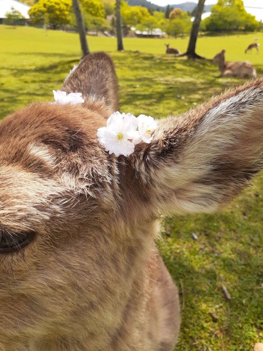 The world is cruel, therefore I won’t be