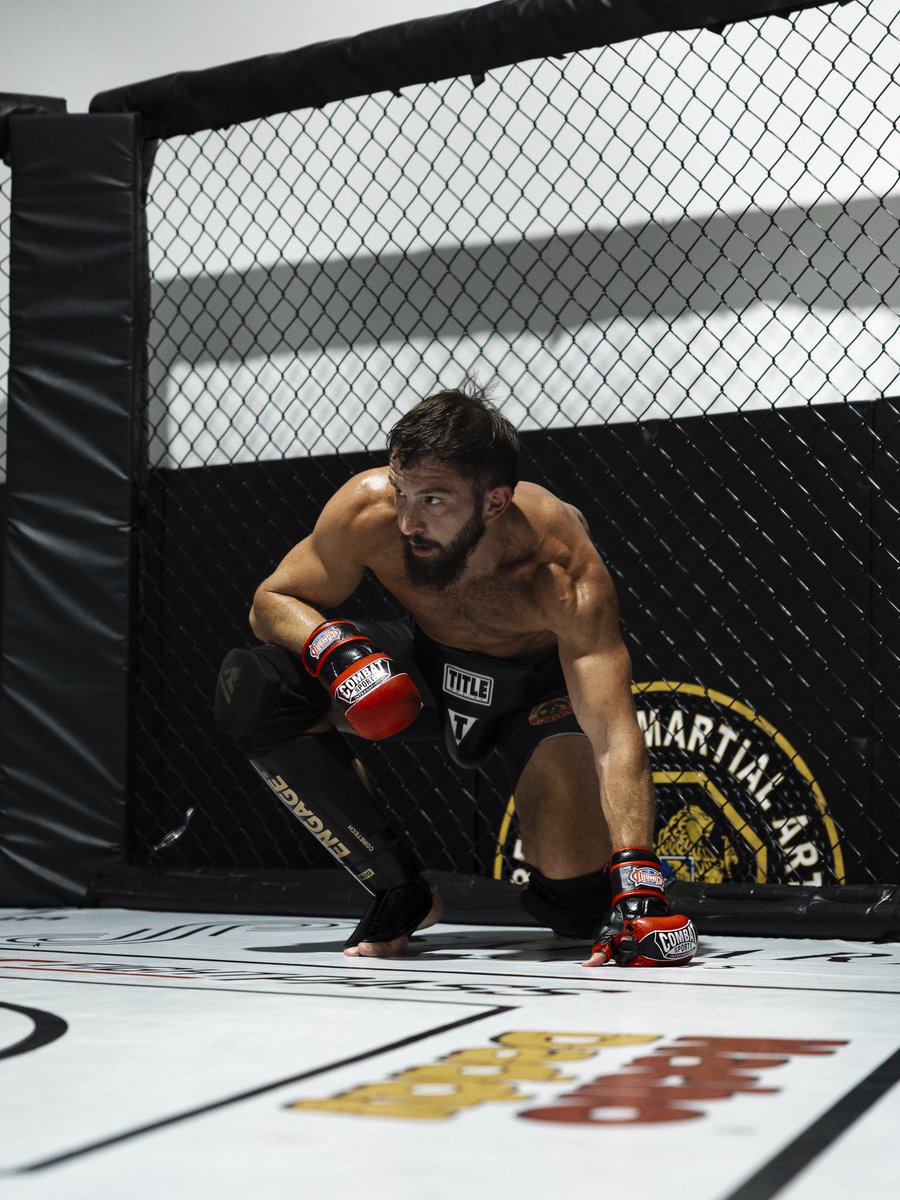 Vance 🌞⚡️ tweet media