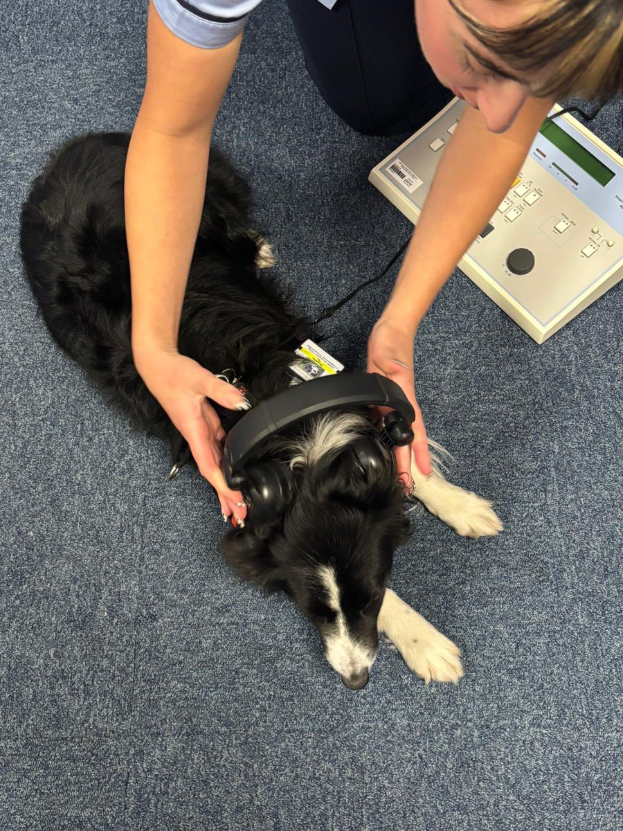 NUTHChaplaincy tweet media