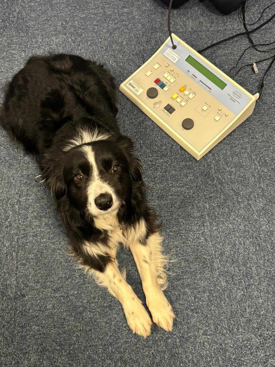 NUTHChaplaincy tweet media