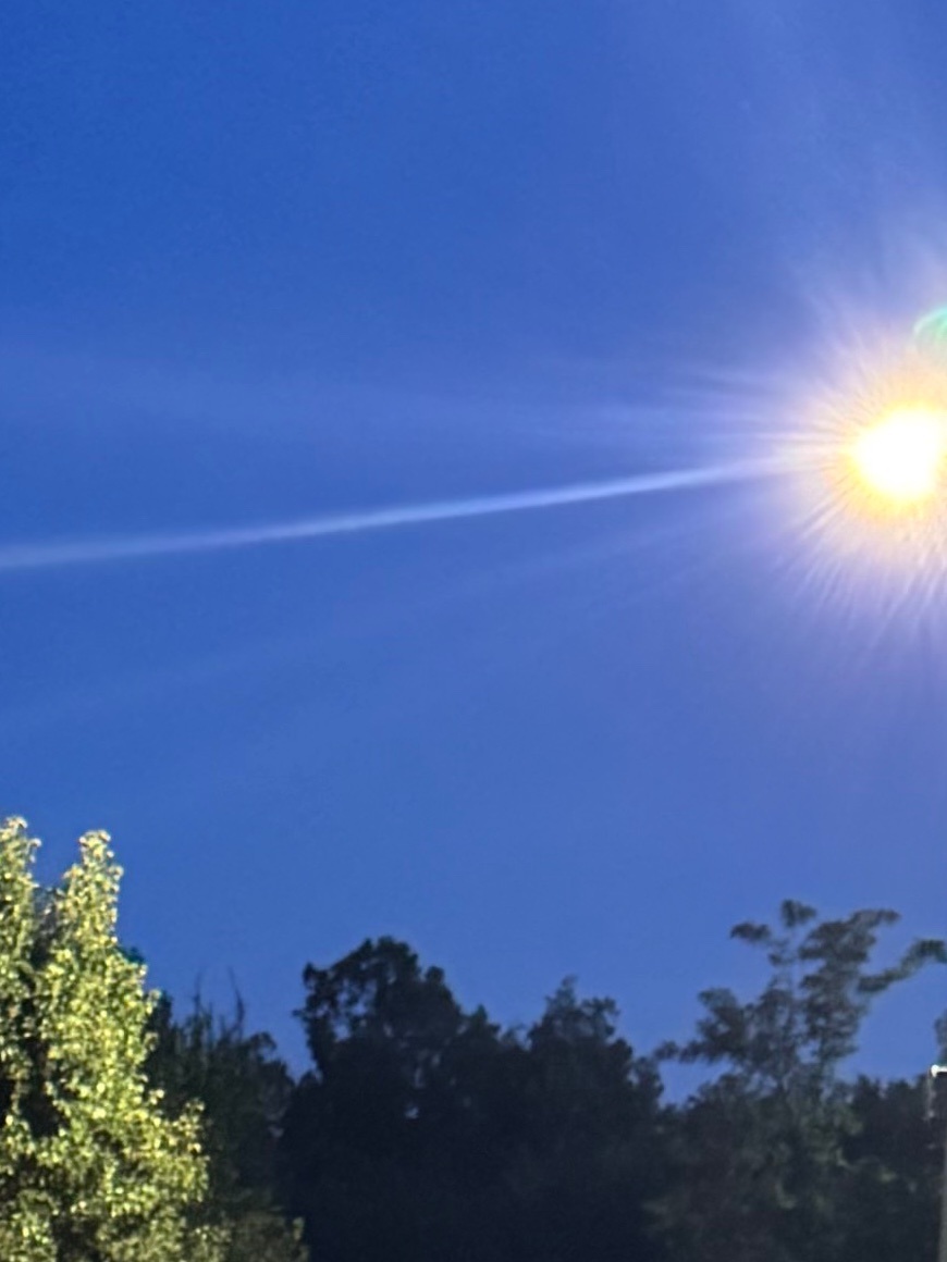 narcanplug's tweet image. 