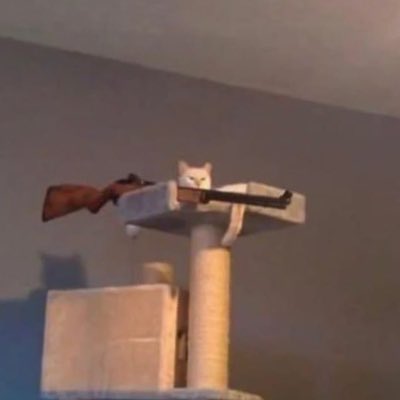 #NouvellePhotoDeProfil