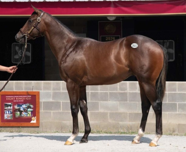 🤯 Hip 2653, a #SpeakersCorner half-brother to 2025 G3 winner Wild Bout Hilary, brings $250k <a href="/keenelandsales/">Keeneland Sales</a> September!

🐎 Consigned by <a href="/TaylorMadeSales/">Taylor Made Farm</a>, the colt was purchased by Icon Investments.

🫵 Congrats to breeder <a href="/ClearskyFarm/">Clearsky Farms</a>!