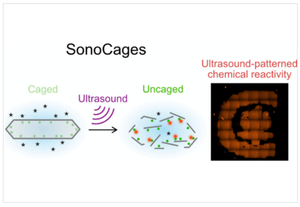 LetPub (@letpub) on Twitter photo Latest publication in <a href="/J_A_C_S/">J. Am. Chem. Soc.</a> “Sono-uncaging for Spatiotemporal Control of Chemical Reactivity” by Schrunk et al. pubs.acs.org/doi/10.1021/ja… <a href="/mikhailshapiro/">Mikhail Shapiro (same on bsky) 🇺🇦</a> <a href="/di_wu_/">Di Wu</a> Latest publication in <a href="/J_A_C_S/">J. Am. Chem. Soc.</a> “Sono-uncaging for Spatiotemporal Control of Chemical Reactivity” by Schrunk et al. pubs.acs.org/doi/10.1021/ja… <a href="/mikhailshapiro/">Mikhail Shapiro (same on bsky) 🇺🇦</a> <a href="/di_wu_/">Di Wu</a>
