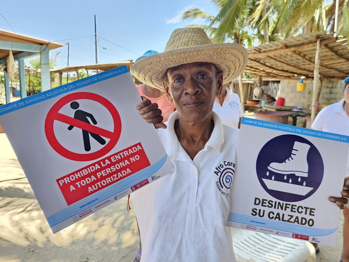 Hola a todes
Estamos  monitoreando nuestra granja acuícola  donde se realizaron las siguientes actividades:
Verificación de los avances de las buenas prácticas acuícolas para obtener la certificación de SENASICA
 Lectura de resultados de laboratorios  clínicos de agua y producto.