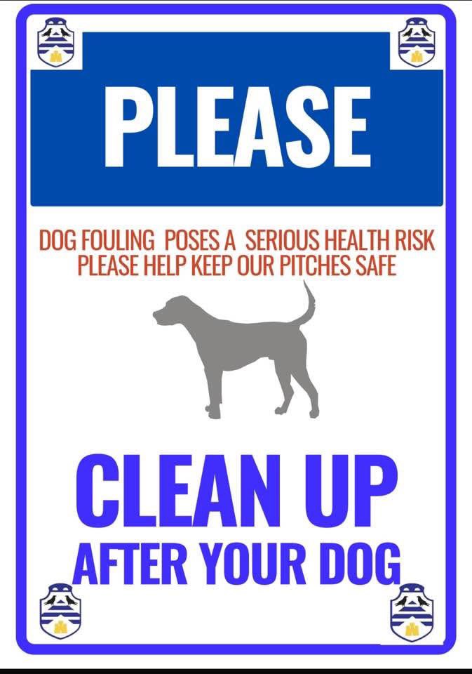 Sports Minis Juniors tweet media