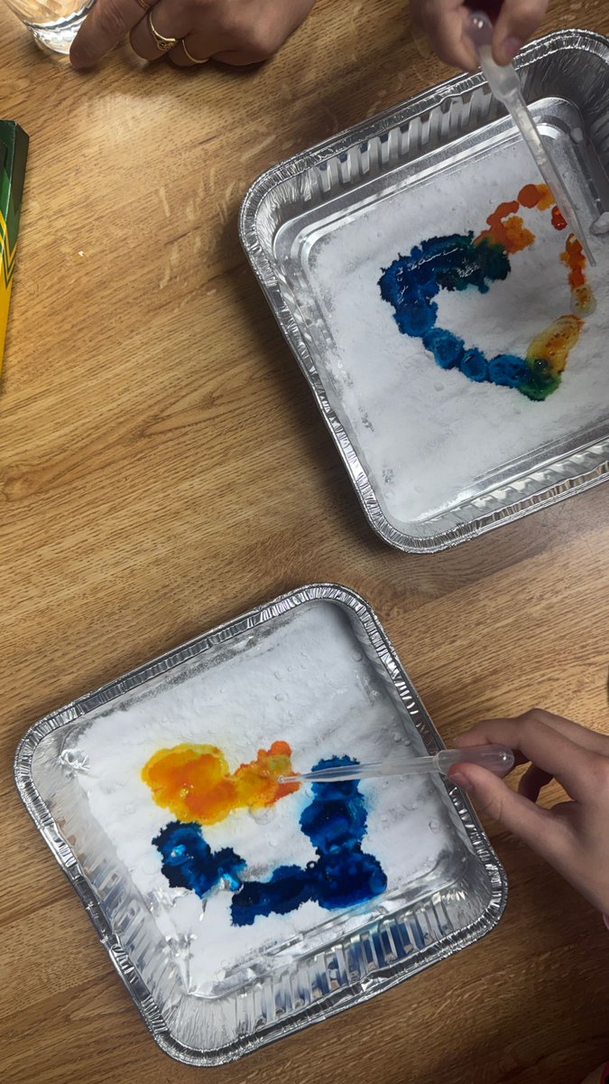 Doaa Abdelaziz volunteered with the T&amp;M Foundation &amp; The Gearing Towards Engineering Foundation for a STEM color chemistry project at the Monmouth County Library. Volunteers guided students through experiments demonstrating how colors are created &amp; interact with each other.