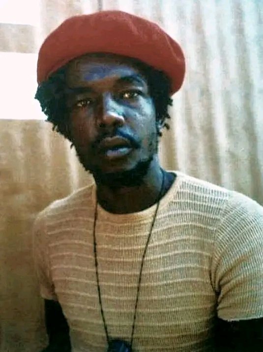 “Reggae music is not violent. Reggae is just outspoken. Reggae just speaks the truth. But the truth to liars is always offensive and looks violent. It is always a threat.”

 —  Peter Tosh 🎙