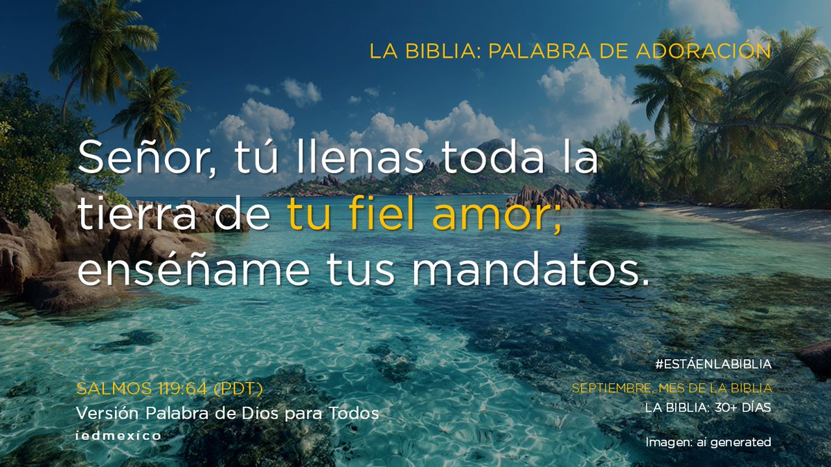 Mario Grullon Damian tweet media