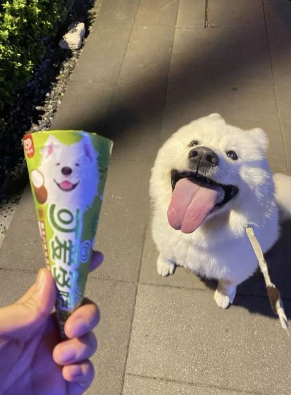 dude fucking calm down ill give it to you in a minute