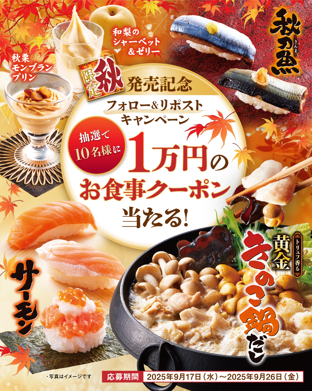 おまとめページ♡27点K5H1P18M3（12/21までお取り置き可能です♡） 楽天市場】鳥かご カバー W360×D425×H438○防音 防塵 保温
