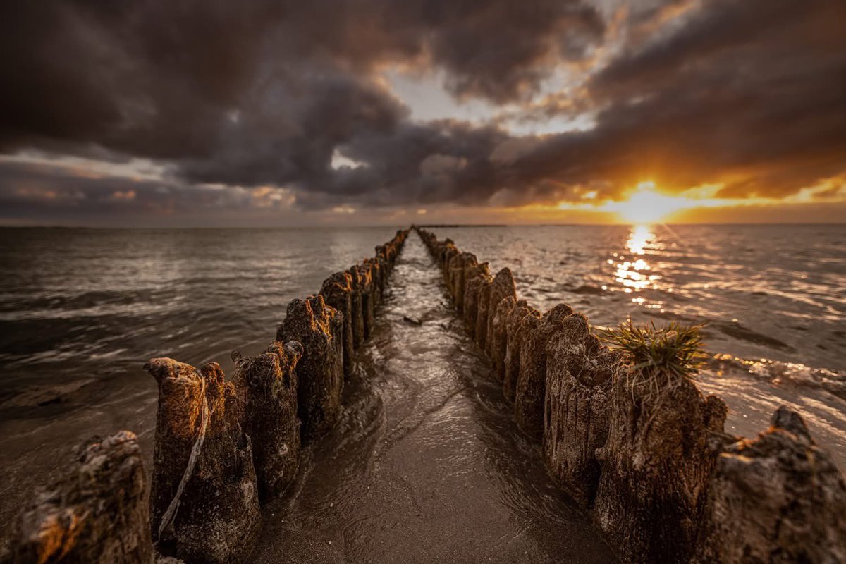 tarakiekt's tweet image. In social media termen is het niks, maar ik vind het magisch dat ik maar zo’n 600 mensen verwijderd ben van de 10.000, en het superleuk vind dat jullie me volgen, dus bij deze een foto: