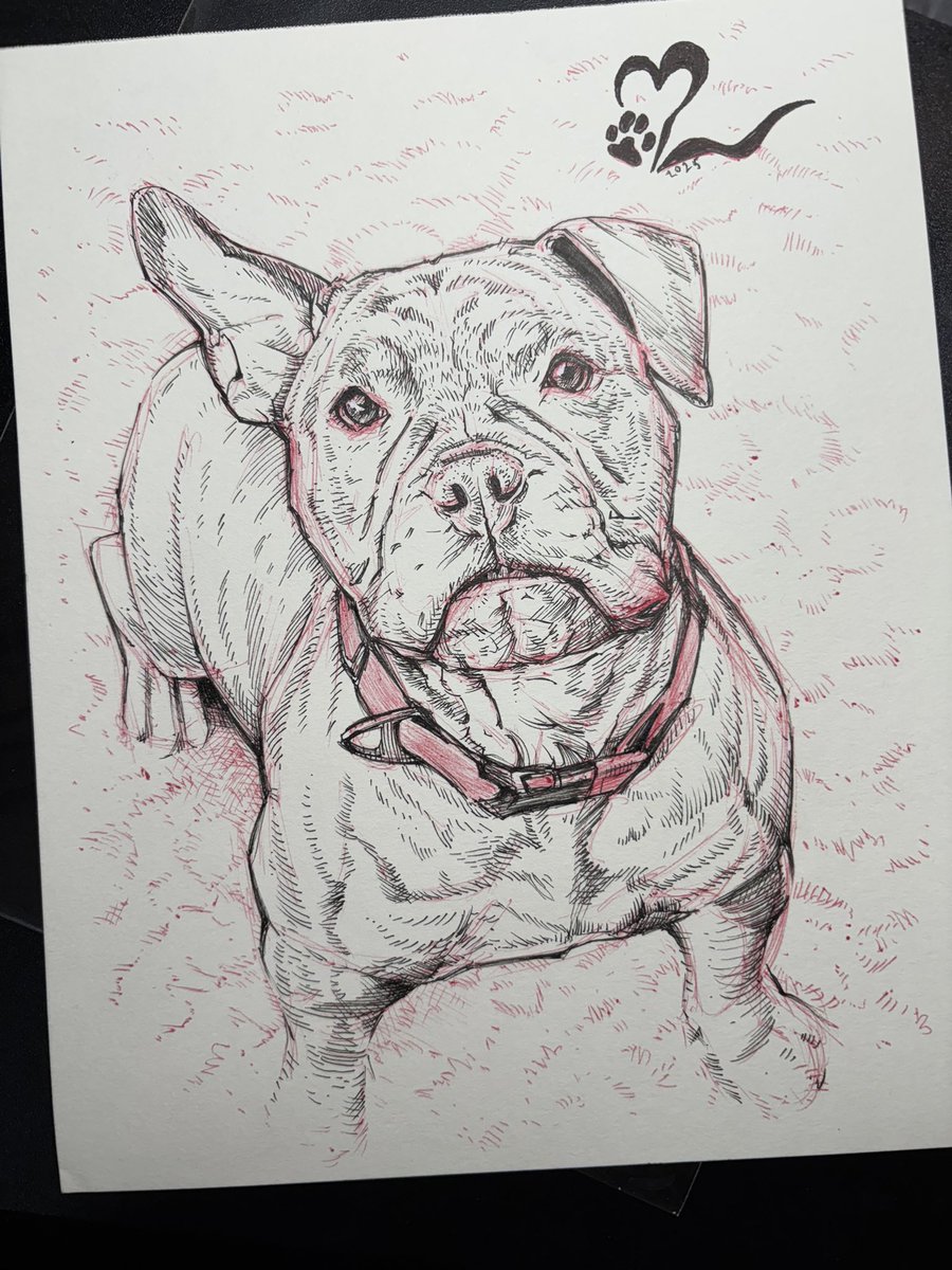CinderNathan's tweet photo. Ms. Mischief. Little drawing g of a shelter dog. Micron and ballpoint pen. #shelterdog #traditionalart https://t.co/hleEXGZyGn