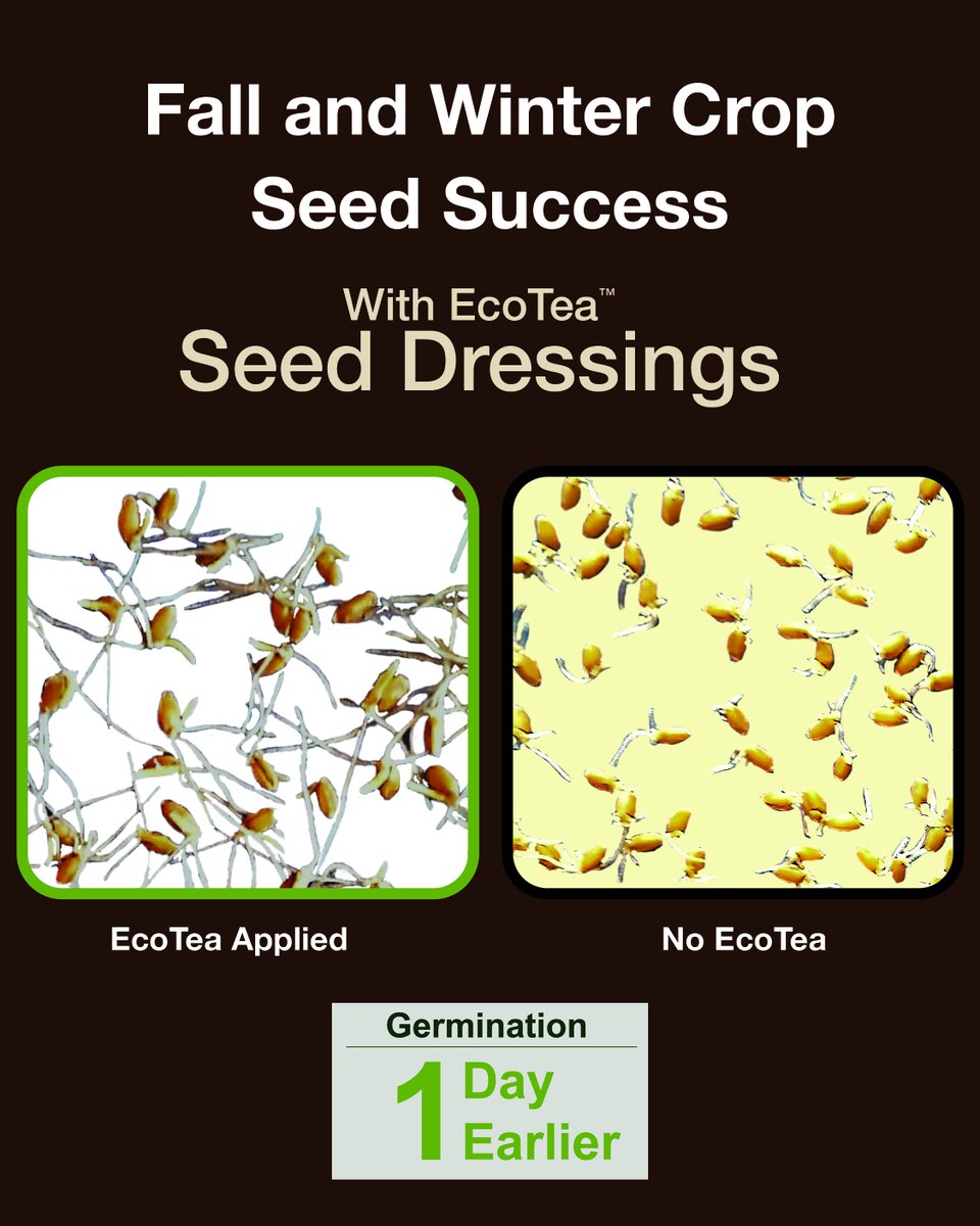 EcoTea™ tweet media