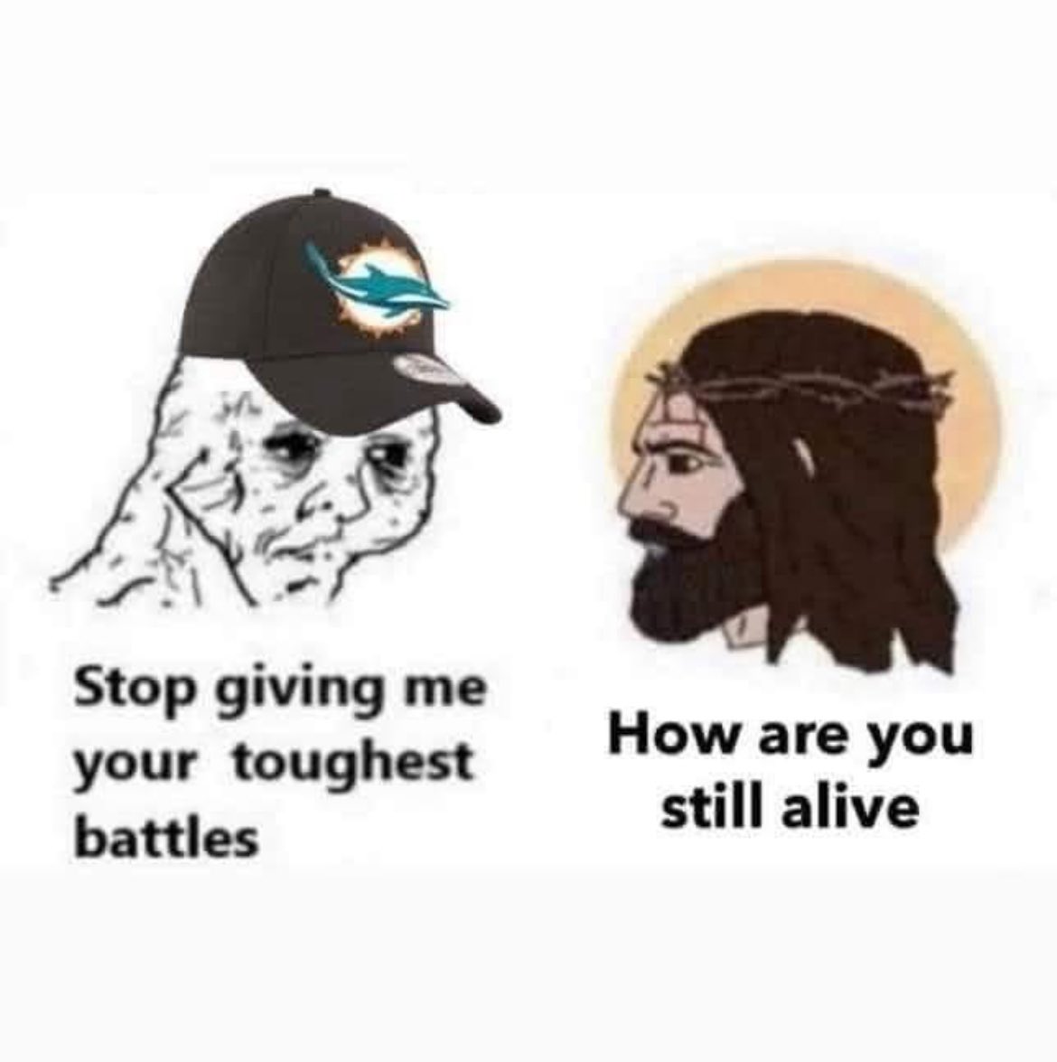 keg 🐬 tweet media