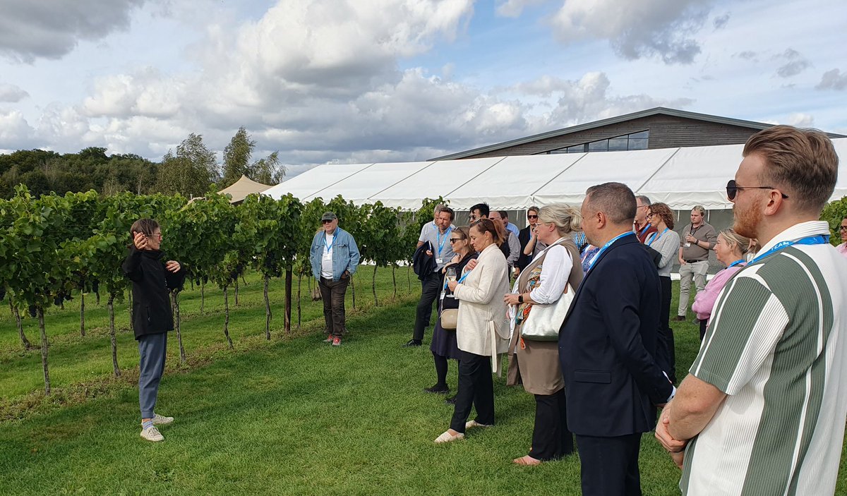 Ray Johnson tweet media