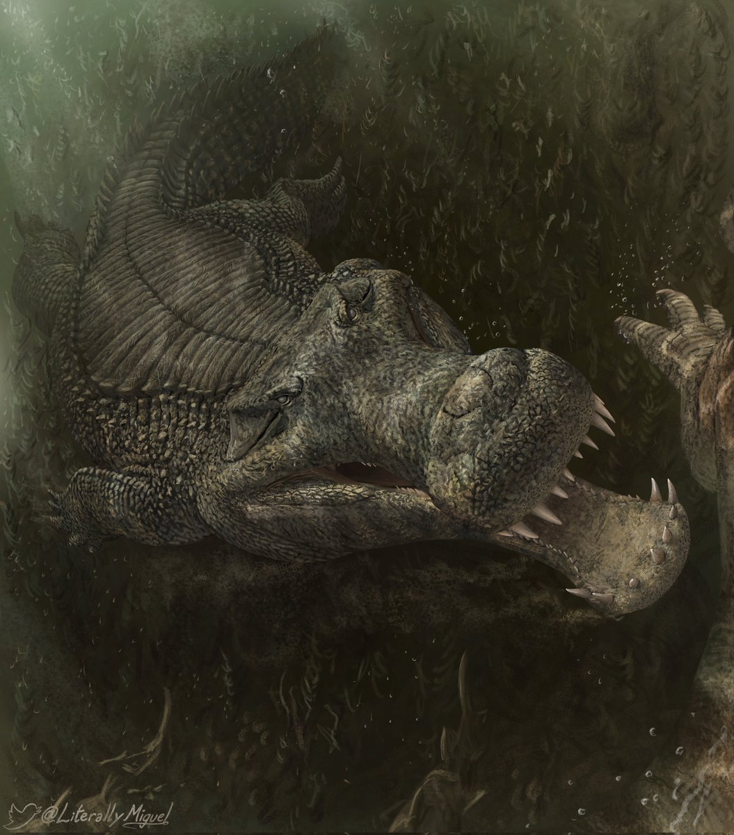 Ambush

Sarcosuchus imperator