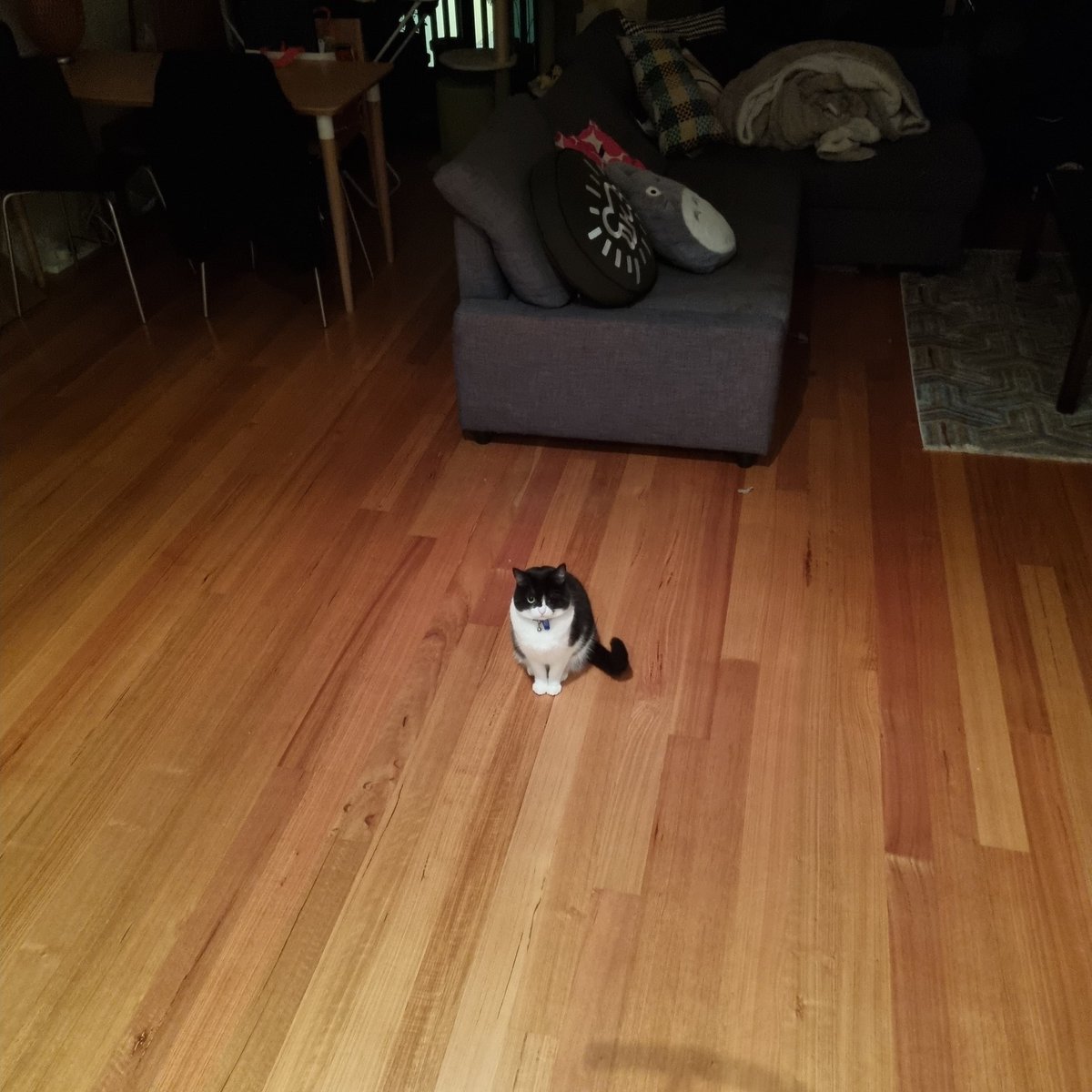actually size