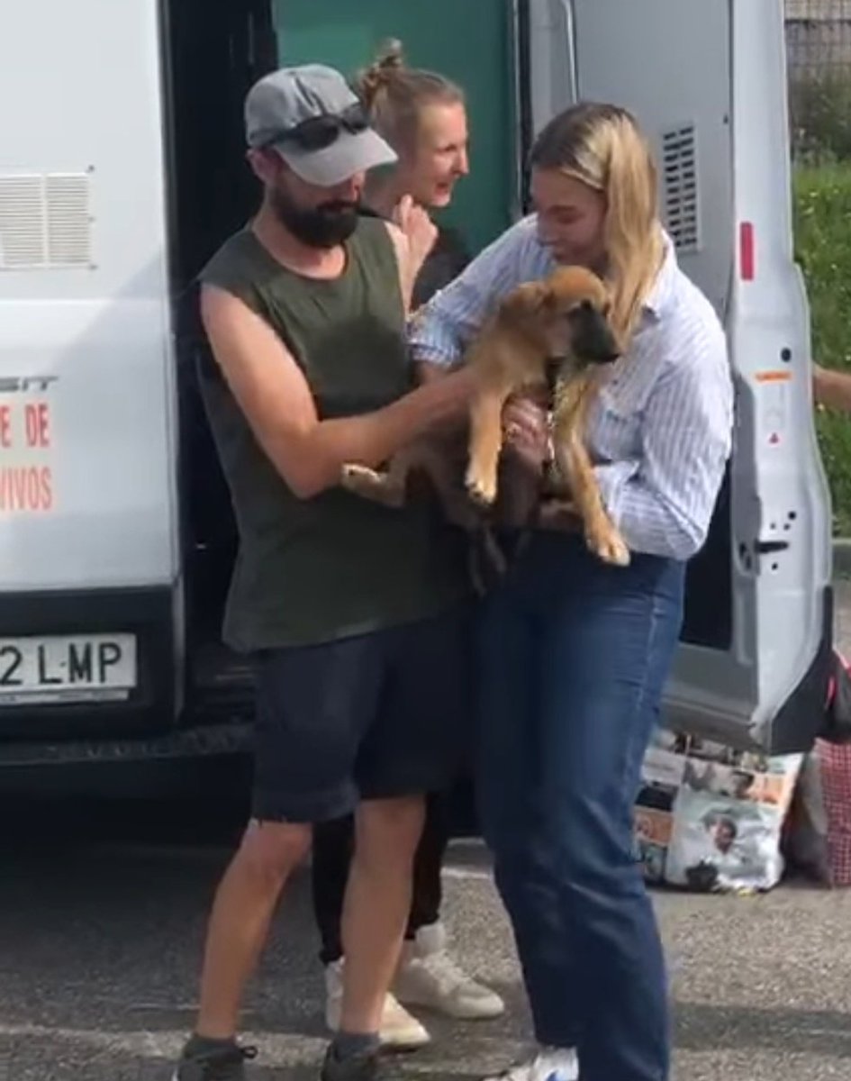 ADOPCIÓN FELIZ 🐾
Así se entregan l@s perr@s que viajan fuera de España. Tienen que tener 4 meses, todas sus vacunas, desparasitación, chip, pasaporte y si son perros adultos machos (castrados) y hembras(esterilizadas)
Fermín ha viajado hasta Francia para unirse a Sandi y Familia