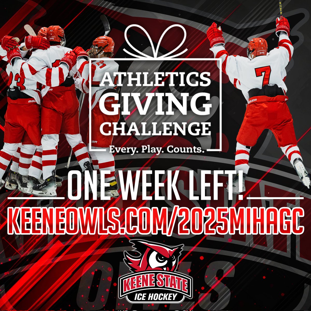 Please consider a gift to the boys!  The team won 2 of 3 categories last season but we're lagging a bit this Fall.  Visit keeneowls.com/2025MIHAGC