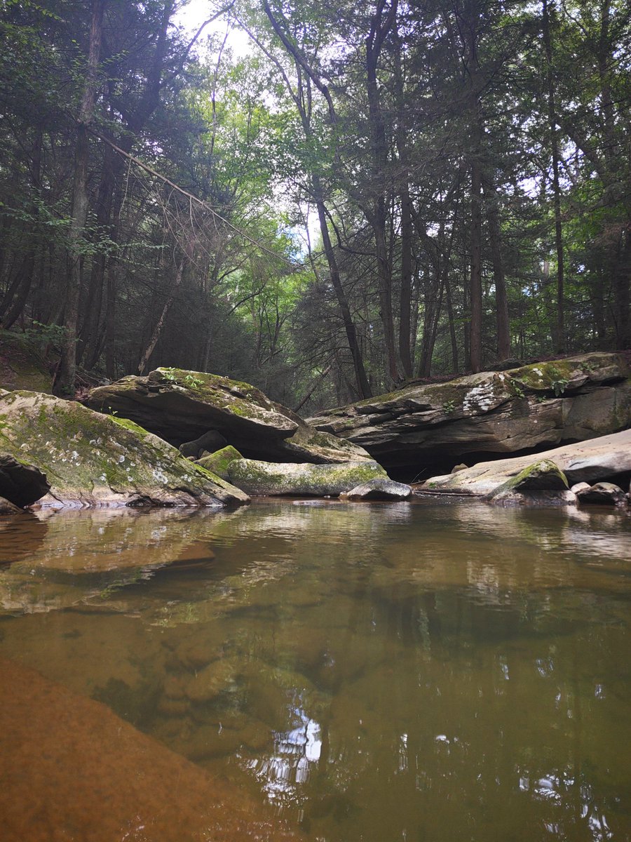 3ThreeInOne1's tweet image. Things that feel hard or bad at first don't always stay that way especially when it comes to your body.. It seems as if there is a refractory period as it finds a new metabolism.