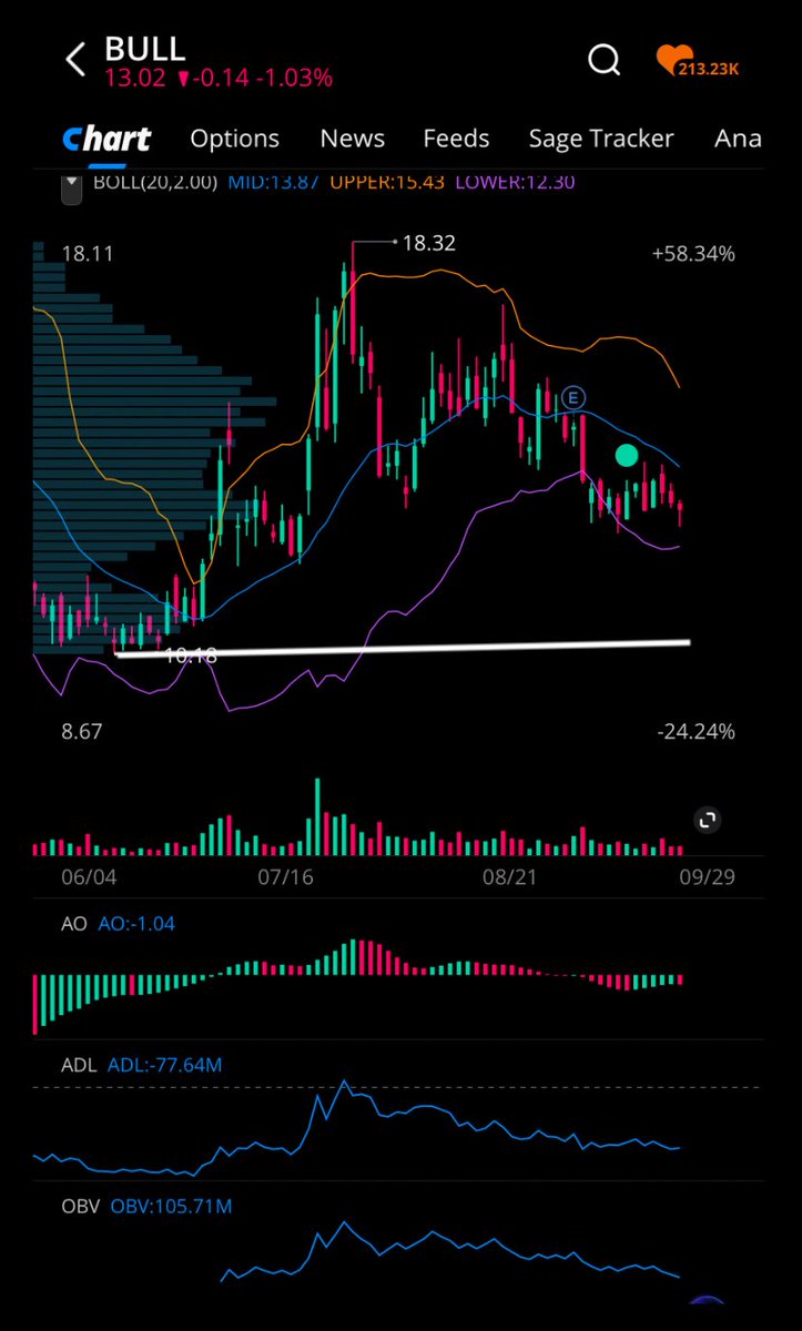 risenfit's tweet image. $BULL #WeBull