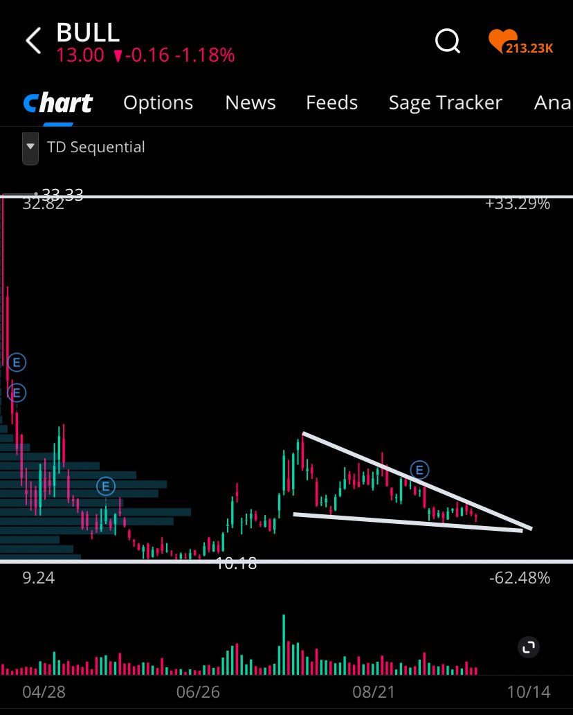 risenfit's tweet image. $BULL #WeBull