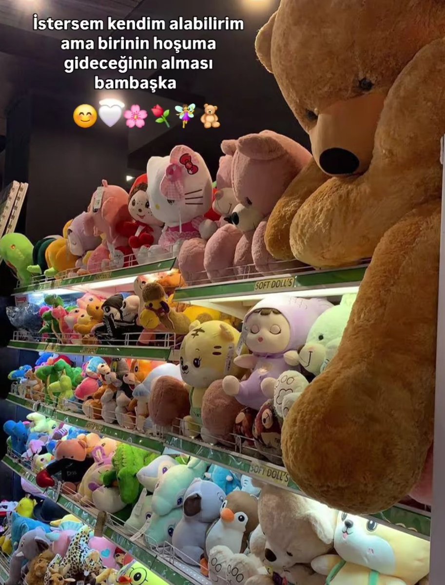 Sanem (@rrandomuna) on Twitter photo 