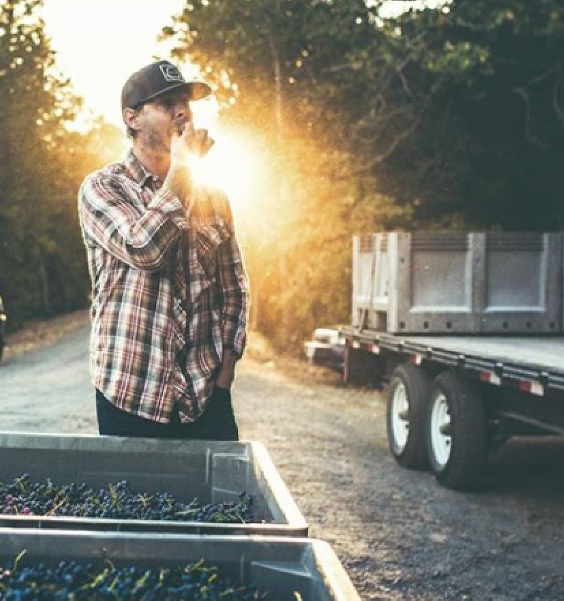 FPWM's tweet image. 🍷🧀✨ FPWM SPECIAL TASTING: EAT SPAIN. DRINK SPAIN. 🫒 - mailchi.mp/fpwm/eat-spain…