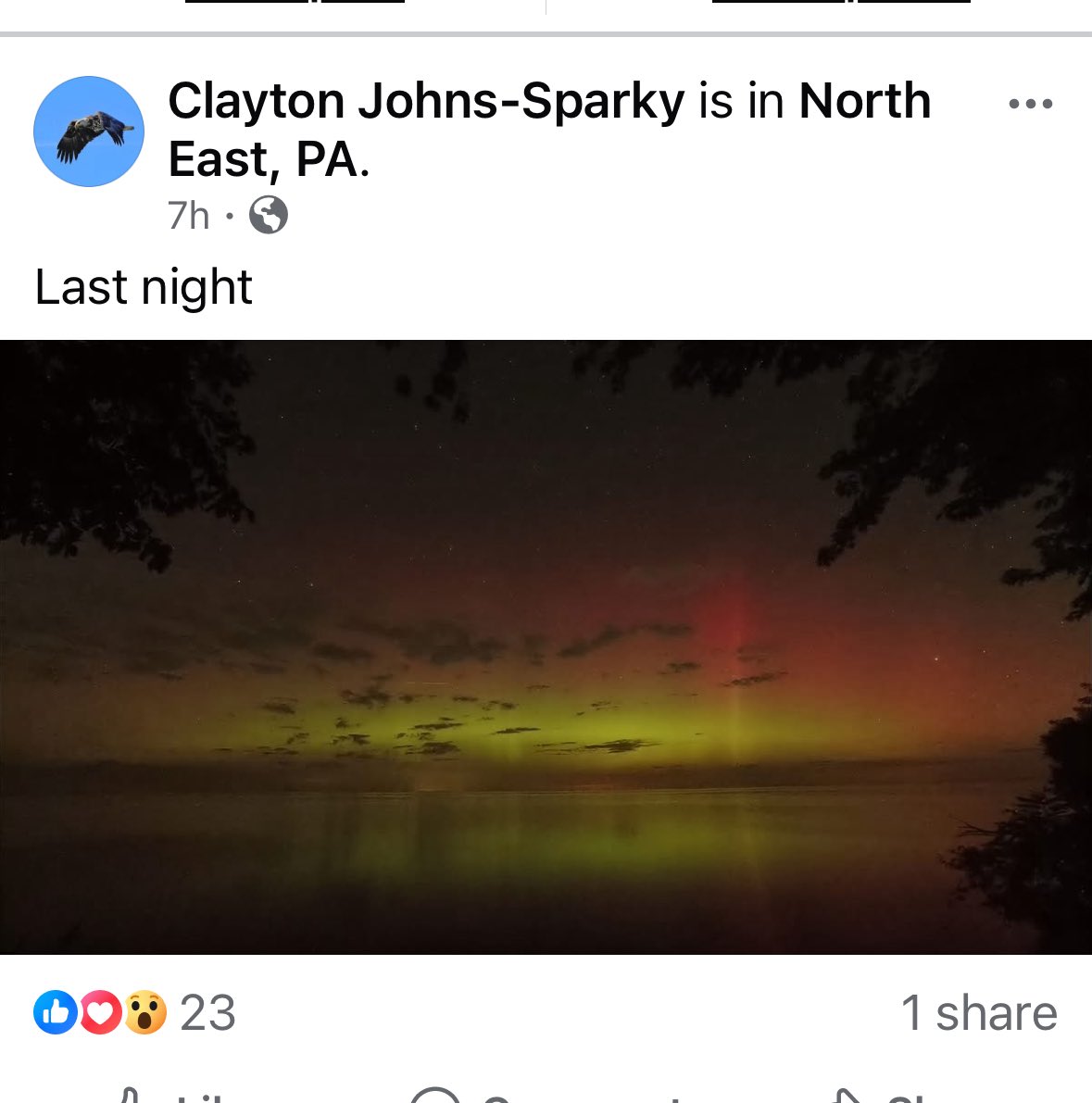 Susan Kaz tweet media