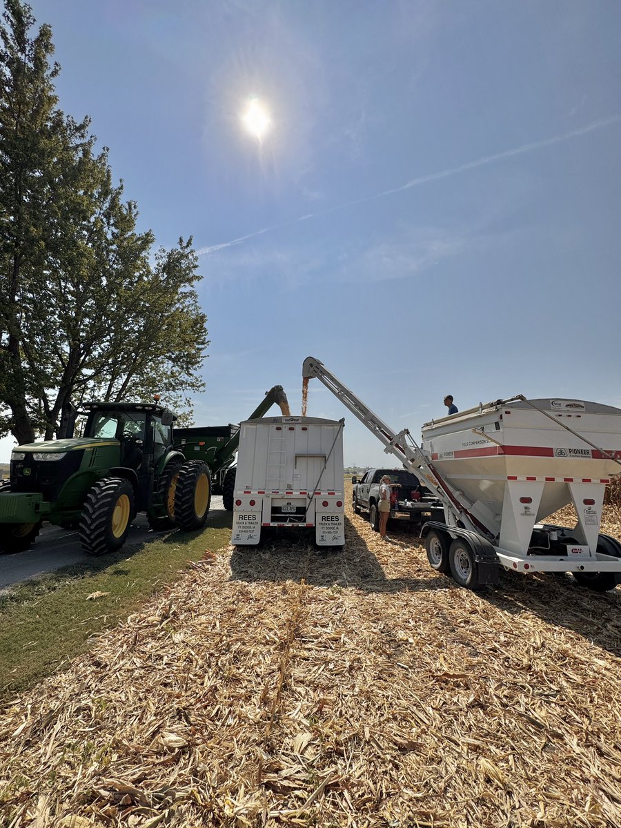 KnipmeyerSeed's tweet photo. 🌽 First Plot of the Season! 🌽
We harvested our first corn plot of the year. There’s nothing like seeing months of work in the field come full circle. Here’s the top 5 hybrids in this plot! Reach out to @knipmeyerseed for the full data set!
@PioneerSeeds #Harvest25 #PlantPioneer https://t.co/Br9a5ETCxx