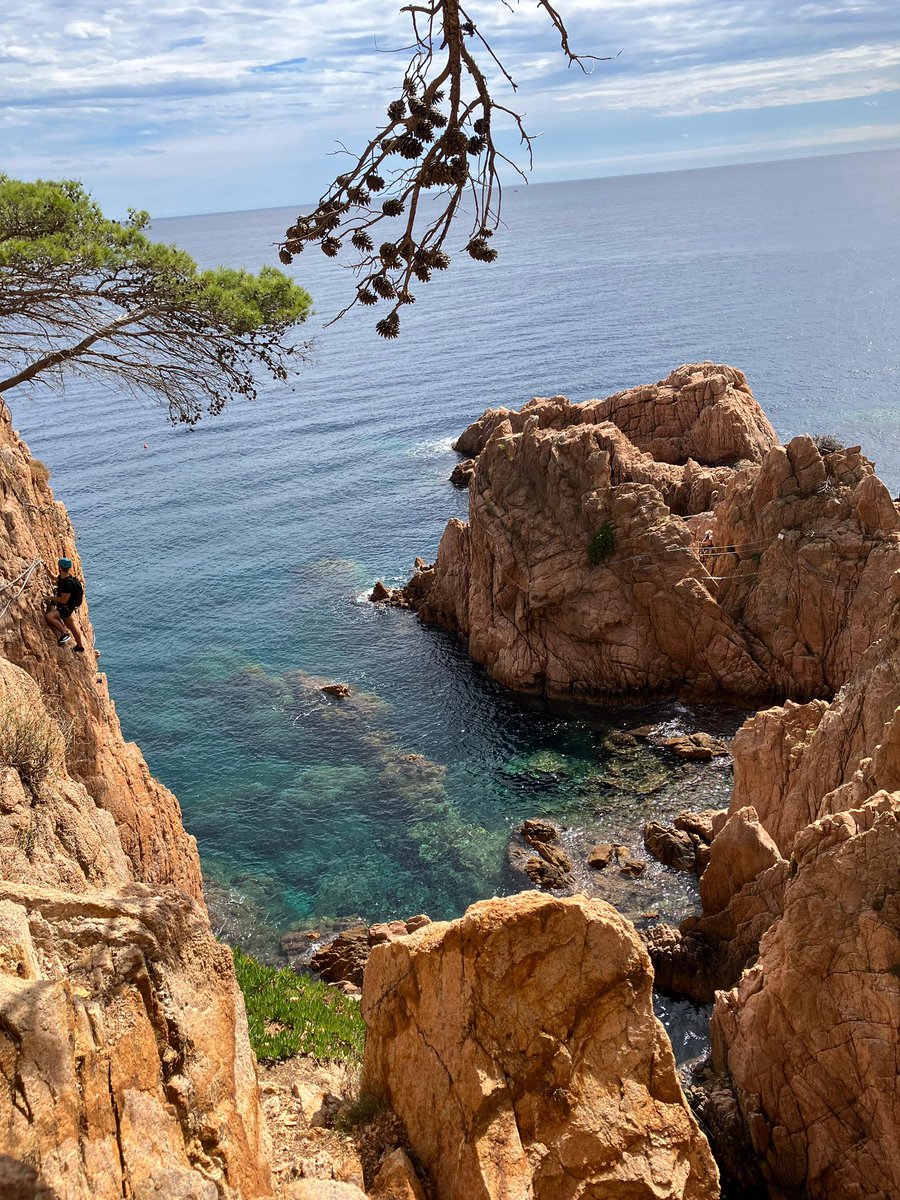 Bashayer AlObaid tweet media