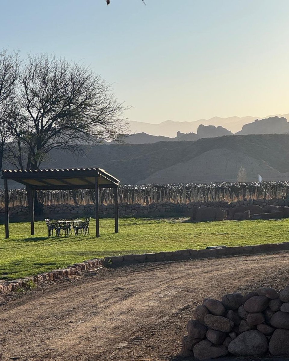 Wines of Argentina tweet media