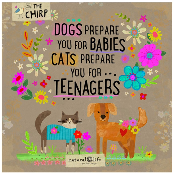 Miriam Van Scott Best-selling author tweet media