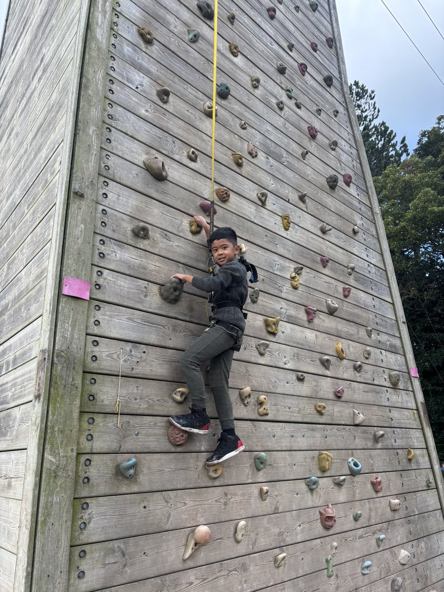 New Park Primary School tweet media