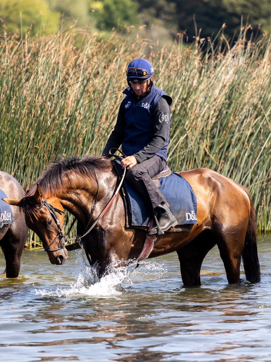 Christian Williams Racing tweet media